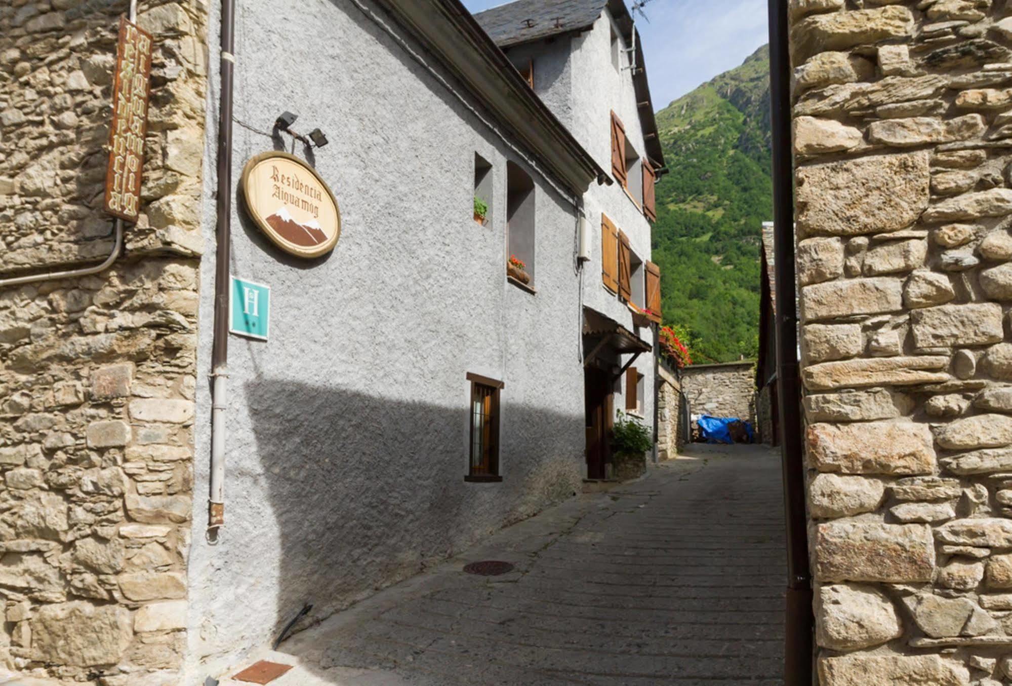 Hostal Aiguamog Salardu Exterior photo